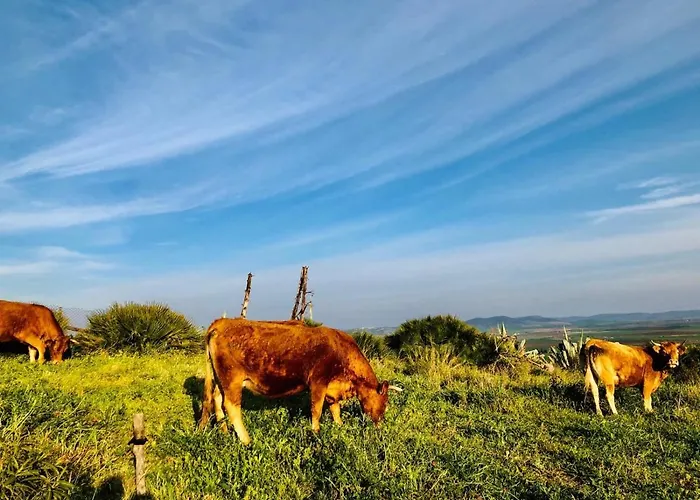 Atico La Pace Dei Sensi Апартаменти *